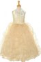 Abito da Cerimonia Bambini A-Line Ball Gown in Tulle Anello con Piega