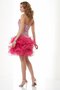 Abito Homecoming Cuore Senza Maniche Mini Tubino in Organza