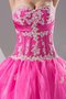 Abito Quinceanera con Piega Ball Gown con Increspato Cuore con Applique